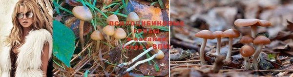 метадон Баксан