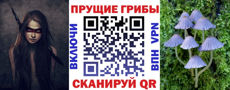 Галлюциногенные грибы GOLDEN TEACHER  blacksprut ССЫЛКА  Новотитаровская 