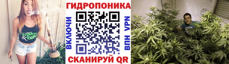 Бошки марихуана LSD WEED  Новотитаровская 